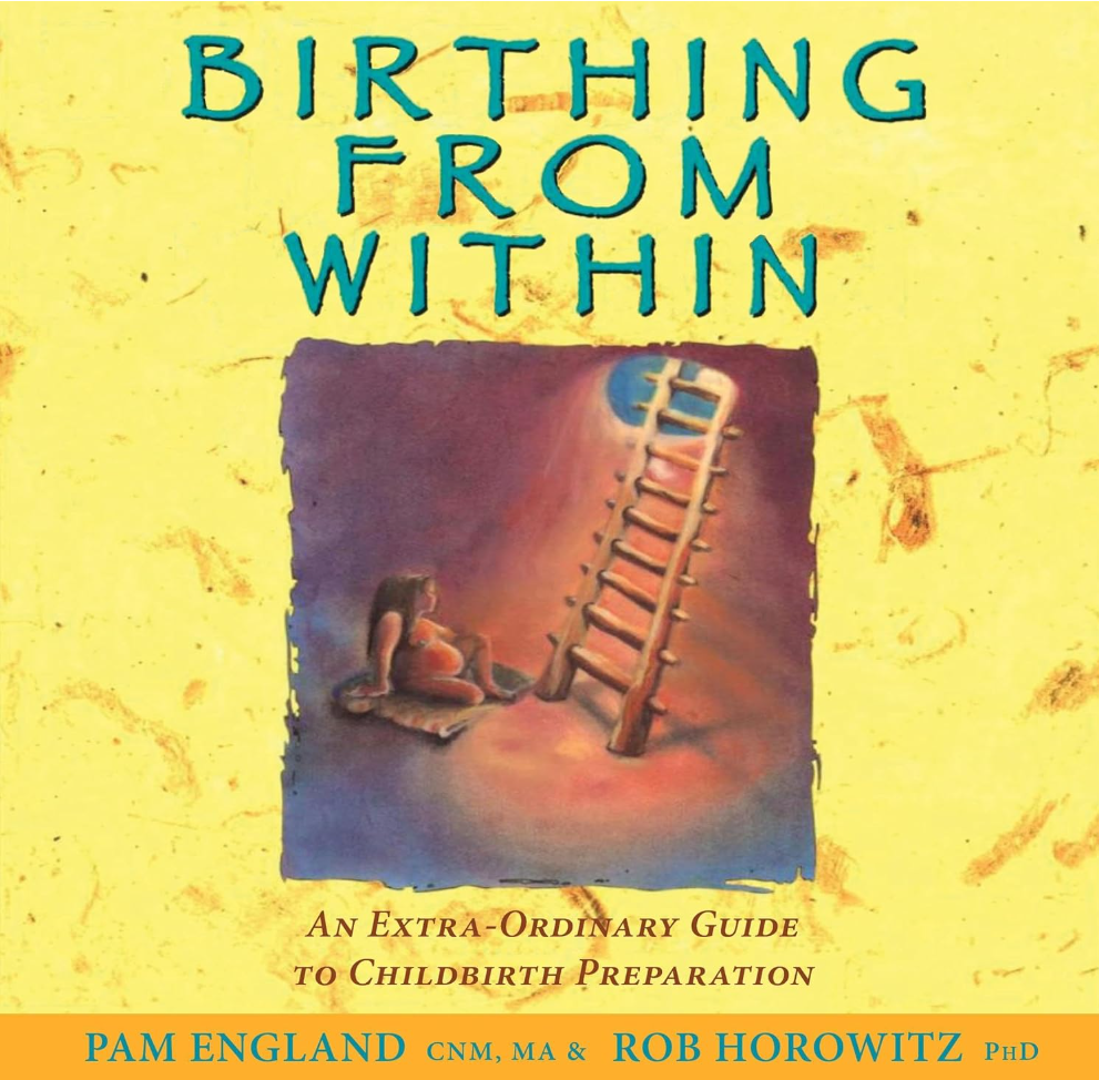 Birthing From Within book cover